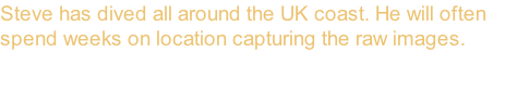 Steve has dived all around the UK coast. He will often spend weeks on location capturing the raw images.